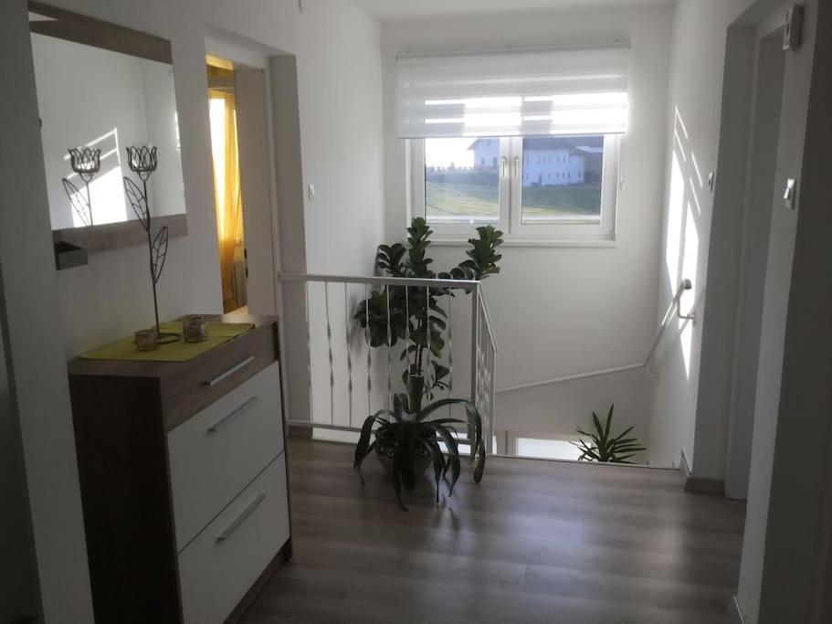Haus Im Gruenen Villa Bad Zell Eksteriør billede